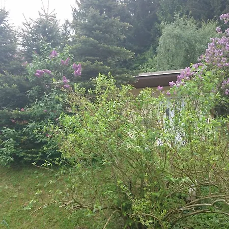 Дом отдыха Gemuetlich Und Modern Eingerichtetes Mit Terrasse Im Herzen Des Erzgebirges